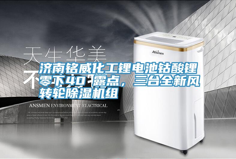 濟(jì)南銘威化工鋰電池鈷酸鋰零下40℃露點(diǎn)，三臺(tái)全新風(fēng)轉(zhuǎn)輪除濕機(jī)組