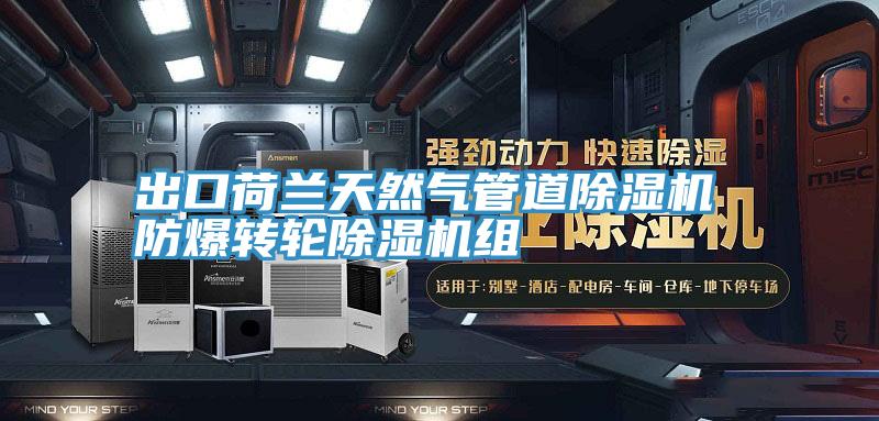 出口荷蘭天然氣管道除濕機 防爆轉輪除濕機組