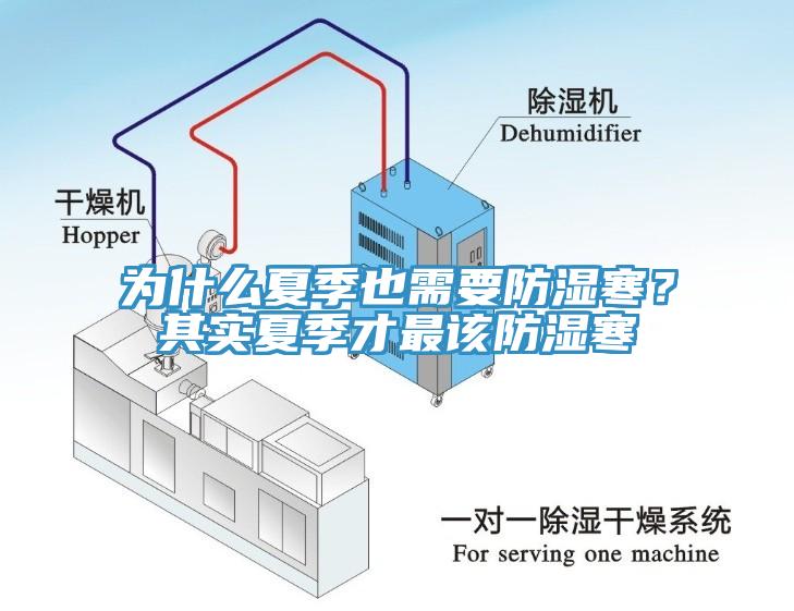 為什么夏季也需要防濕寒？其實夏季才最該防濕寒