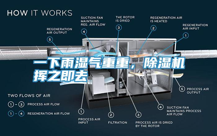 一下雨濕氣重重，除濕機(jī)揮之即去