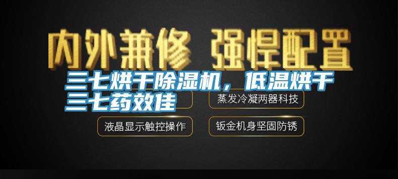 三七烘干除濕機，低溫烘干三七藥效佳