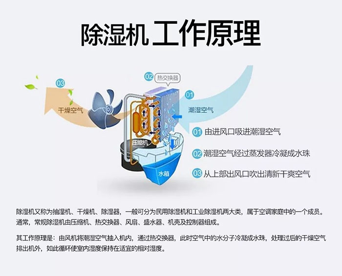 潮濕天氣狗最容易患上這種毛??！三個(gè)注意事項(xiàng)，鏟屎官一定要看看