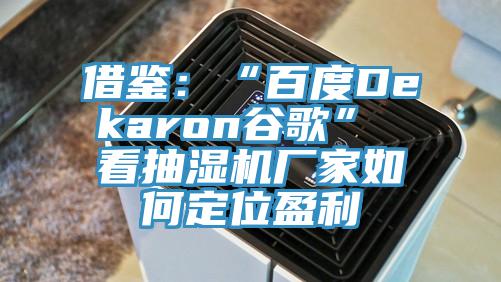 借鑒：“百度Dekaron谷歌” 看抽濕機廠家如何定位盈利