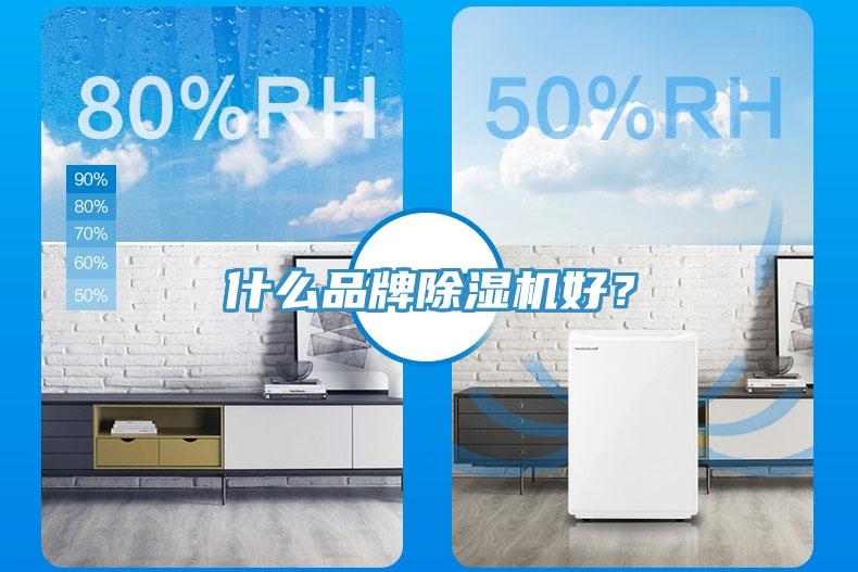 什么品牌除濕機(jī)好？