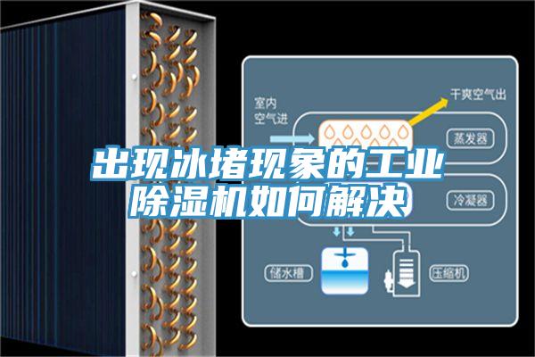 出現(xiàn)冰堵現(xiàn)象的工業(yè)除濕機(jī)如何解決