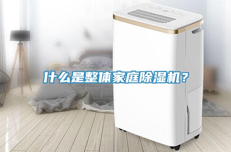 什么是整體家庭除濕機？