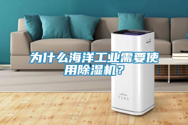 為什么海洋工業(yè)需要使用除濕機？