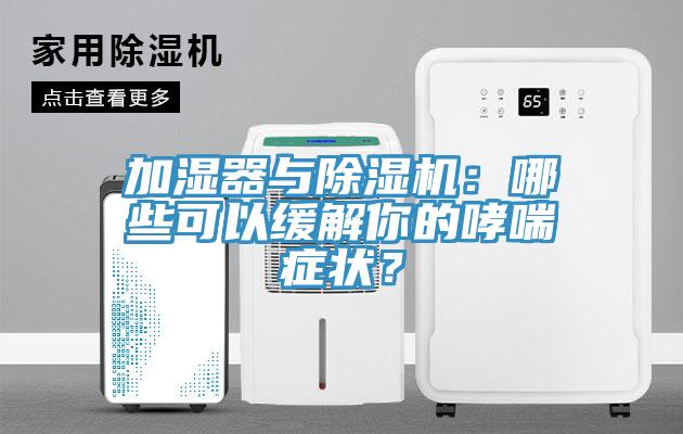 加濕器與除濕機：哪些可以緩解你的哮喘癥狀？