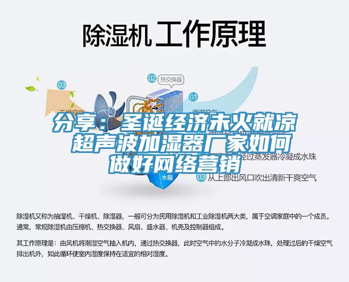 分享：圣誕經(jīng)濟(jì)未火就涼 超聲波加濕器廠家如何做好網(wǎng)絡(luò)營(yíng)銷