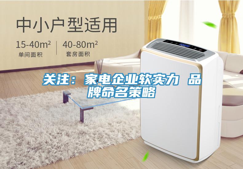 關(guān)注：家電企業(yè)軟實(shí)力 品牌命名策略