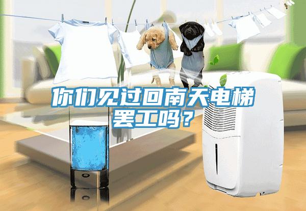 你們見過回南天電梯罷工嗎？