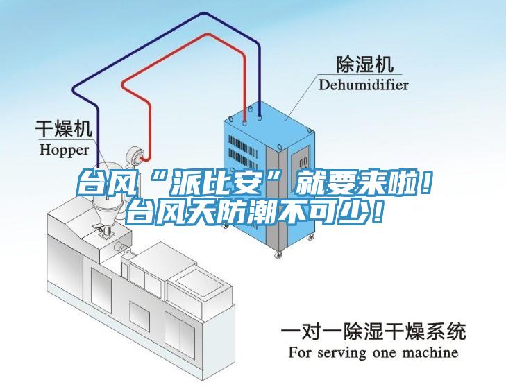 臺風(fēng)“派比安”就要來啦！臺風(fēng)天防潮不可少！