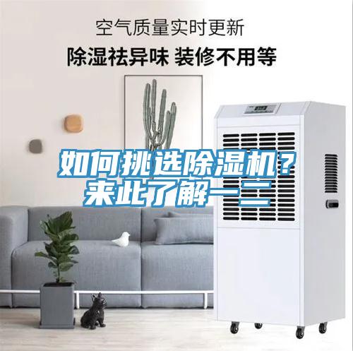 如何挑選除濕機？來此了解一二