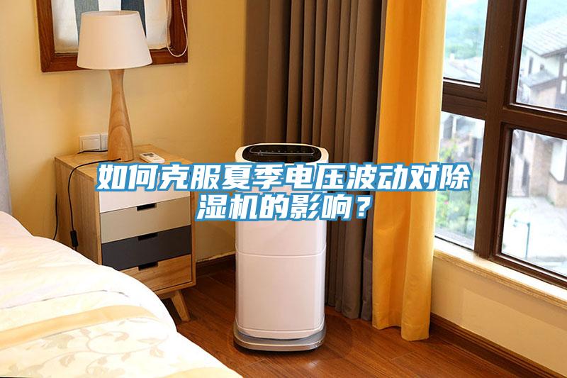 如何克服夏季電壓波動對除濕機的影響？