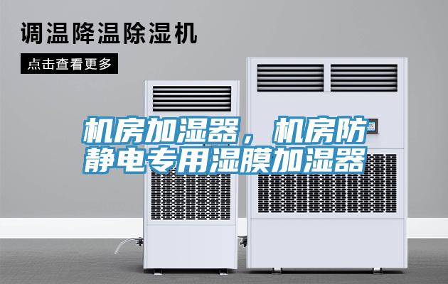 機(jī)房加濕器，機(jī)房防靜電專用濕膜加濕器