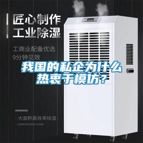 我國的私企為什么熱衷于模仿？