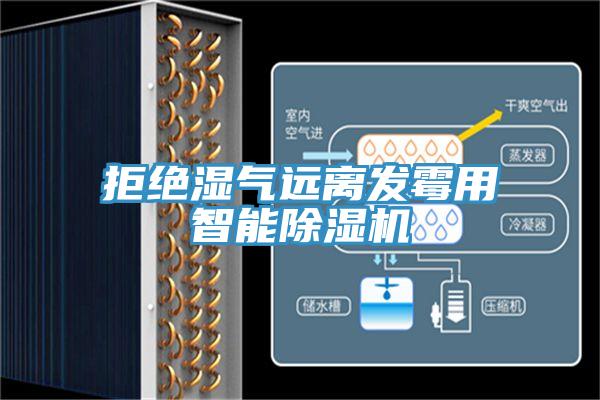 拒絕濕氣遠(yuǎn)離發(fā)霉用智能除濕機(jī)