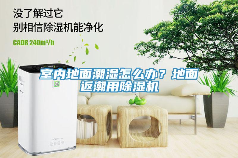 室內(nèi)地面潮濕怎么辦？地面返潮用除濕機