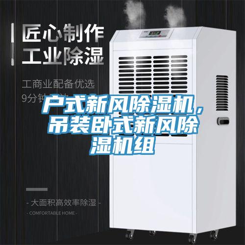 戶式新風除濕機，吊裝臥式新風除濕機組