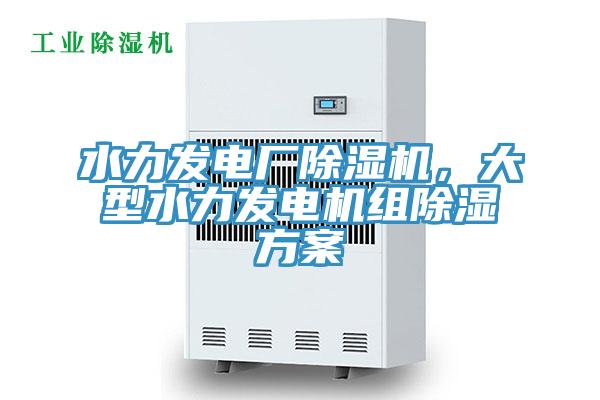 水力發(fā)電廠除濕機(jī)，大型水力發(fā)電機(jī)組除濕方案