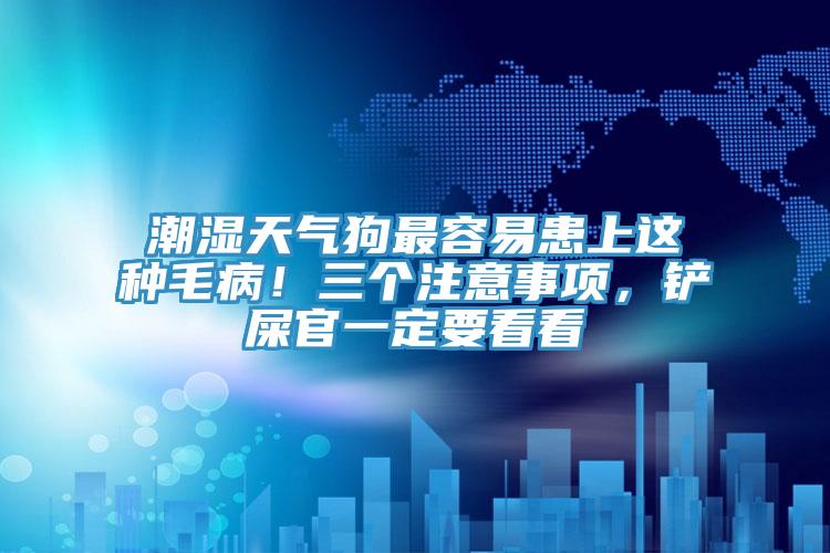 潮濕天氣狗最容易患上這種毛??！三個(gè)注意事項(xiàng)，鏟屎官一定要看看