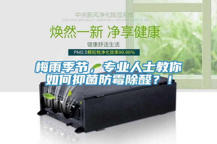 梅雨季節(jié)，專業(yè)人士教你如何抑菌防霉除醛？！