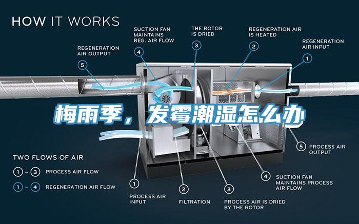 梅雨季，發(fā)霉潮濕怎么辦