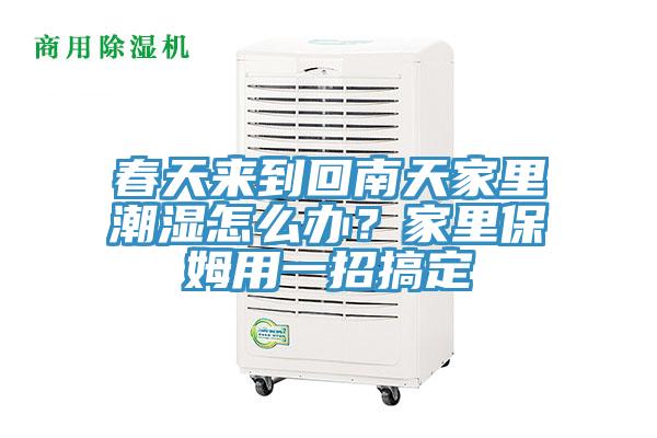 春天來(lái)到回南天家里潮濕怎么辦？家里保姆用一招搞定