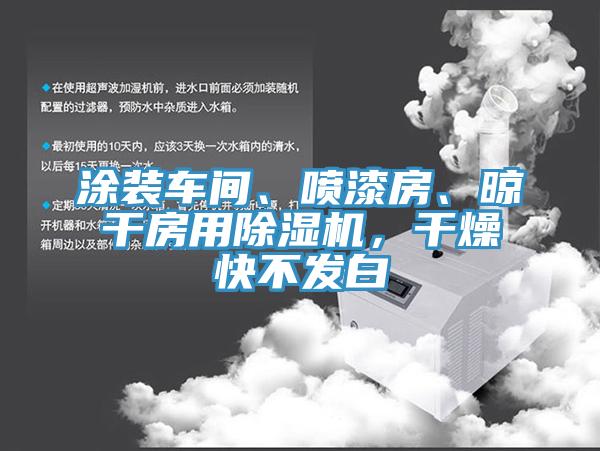 涂裝車間、噴漆房、晾干房用除濕機(jī)，干燥快不發(fā)白