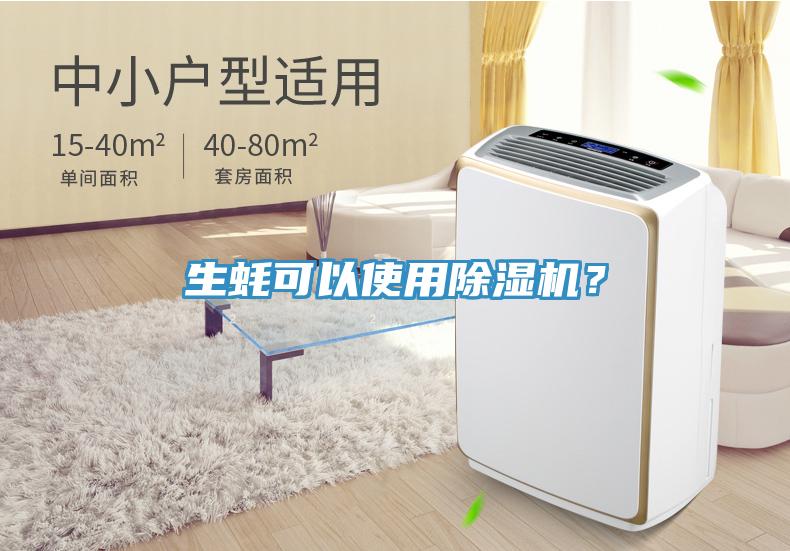 生蠔可以使用除濕機？