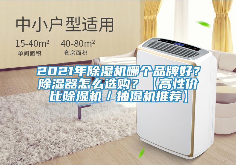 2021年除濕機哪個品牌好？除濕器怎么選購？【高性價比除濕機／抽濕機推薦】