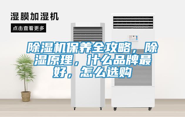 除濕機保養(yǎng)全攻略，除濕原理，什么品牌最好，怎么選購