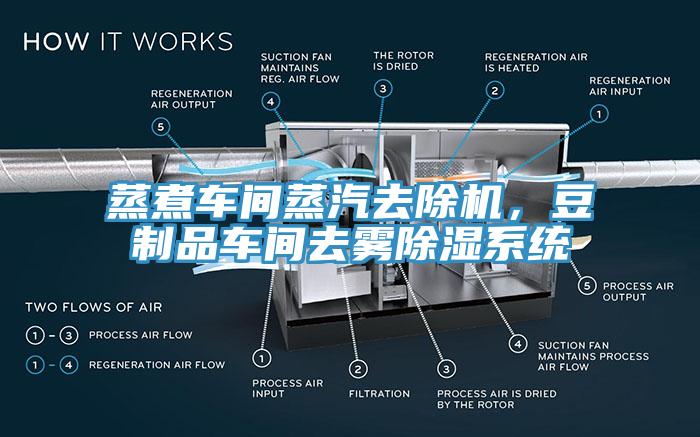 蒸煮車間蒸汽去除機，豆制品車間去霧除濕系統(tǒng)