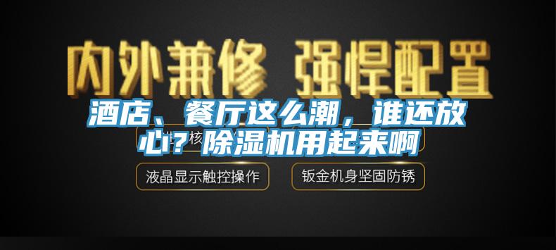 酒店、餐廳這么潮，誰還放心？除濕機用起來啊