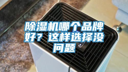 除濕機哪個品牌好？這樣選擇沒問題