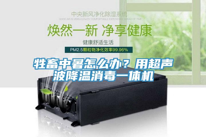 牲畜中暑怎么辦？用超聲波降溫消毒一體機(jī)