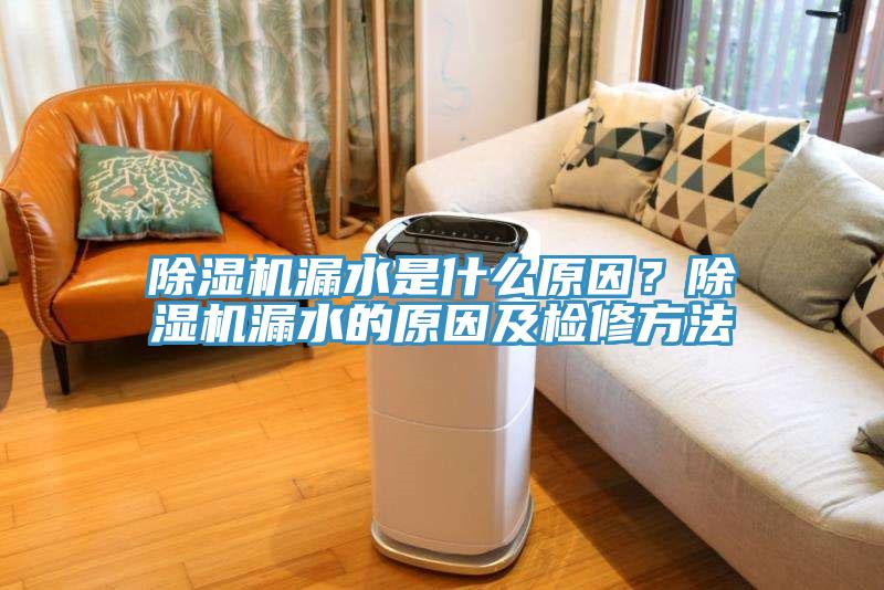 除濕機漏水是什么原因？除濕機漏水的原因及檢修方法