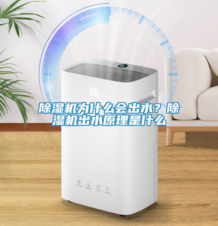 除濕機為什么會出水？除濕機出水原理是什么