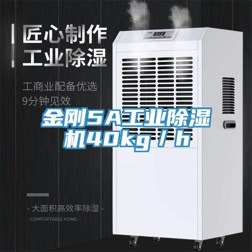 金剛5A工業(yè)除濕機40kg／h