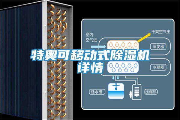 特奧可移動(dòng)式除濕機(jī)詳情