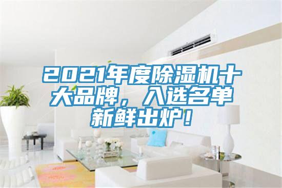 2021年度除濕機(jī)十大品牌，入選名單新鮮出爐！