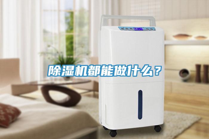 除濕機(jī)都能做什么？