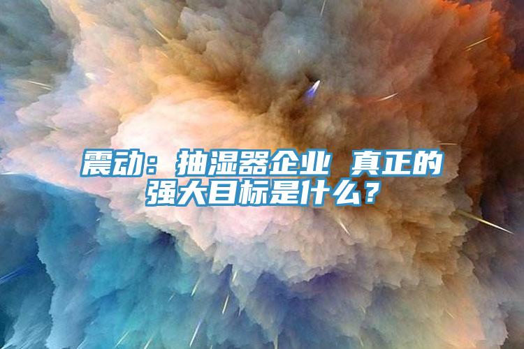 震動：抽濕器企業(yè) 真正的強(qiáng)大目標(biāo)是什么？