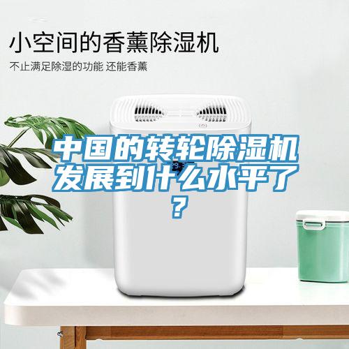 中國的轉(zhuǎn)輪除濕機(jī)發(fā)展到什么水平了？