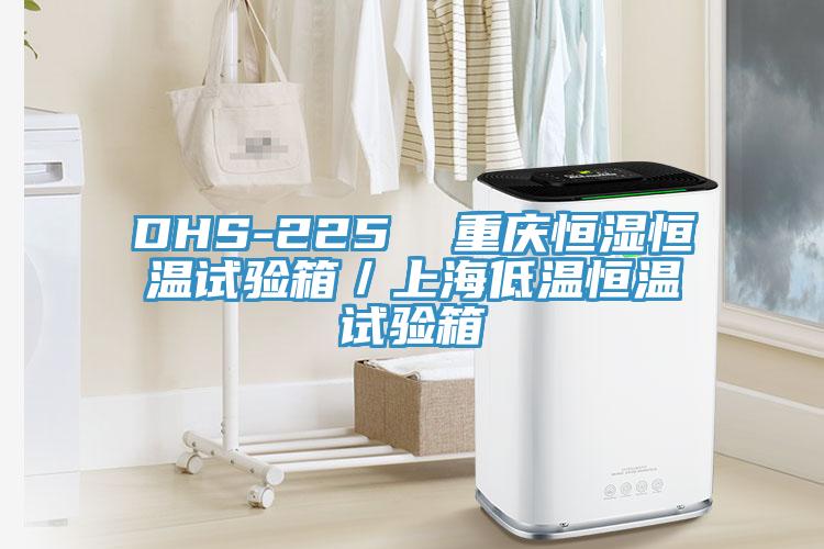 DHS-225  重慶恒濕恒溫試驗箱／上海低溫恒溫試驗箱