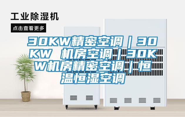 30KW精密空調(diào)｜30KW 機(jī)房空調(diào)｜30KW機(jī)房精密空調(diào)｜恒溫恒濕空調(diào)