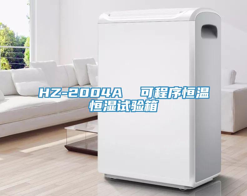 HZ-2004A  可程序恒溫恒濕試驗箱