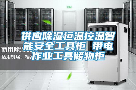 供應(yīng)除濕恒溫控溫智能安全工具柜 帶電作業(yè)工具儲物柜