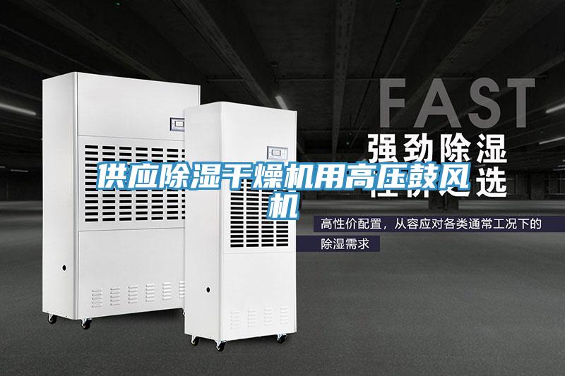 供應(yīng)除濕干燥機用高壓鼓風(fēng)機