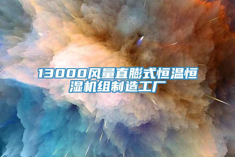 13000風(fēng)量直膨式恒溫恒濕機組制造工廠